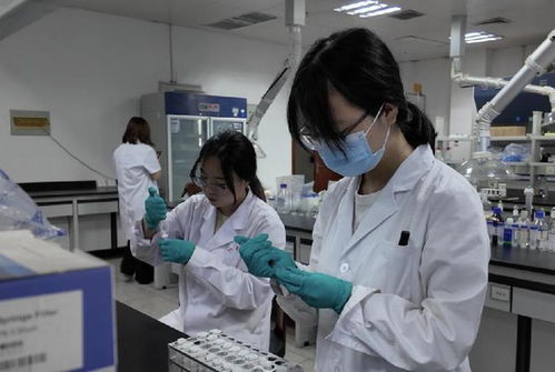 甘肃省药品检验研究院 做药品安全的守护者