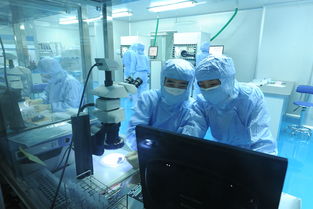 美迪西 分子生物学与生物技术开发服务，驱动创新药物研发